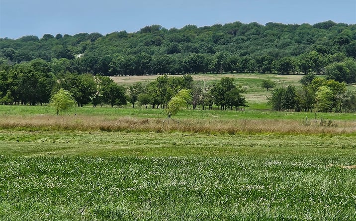 Pictures of Land property located at 8864 S 4170 Road, Claremore, OK 74017 for sales - image #1