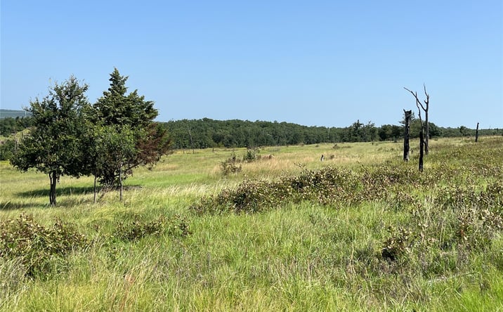 Pictures of Land property located at Bill Ward Road, Coalgate, OK 74535 for sales - image #1