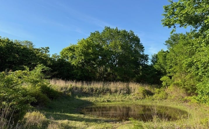 Pictures of Land property located at Lincoln Road, Burneyville, OK 73430 for sales - image #1