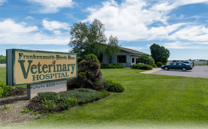Pictures of Retail property located at 9339 Gera Road, Birch Run, MI 48415 for sales - image #1