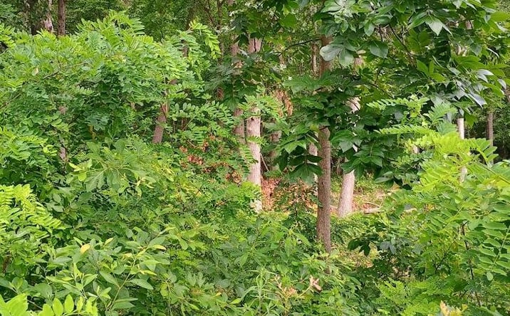 Pictures of Land property located at 3776 S Woodland Road, Knox, IN 46534 for sales - image #1