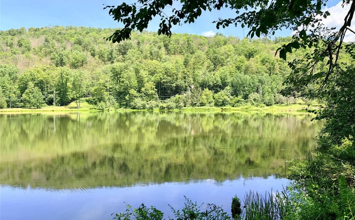 Pictures of Land property located at Doyle Road, Roscoe, NY 12776 for sales - image #1