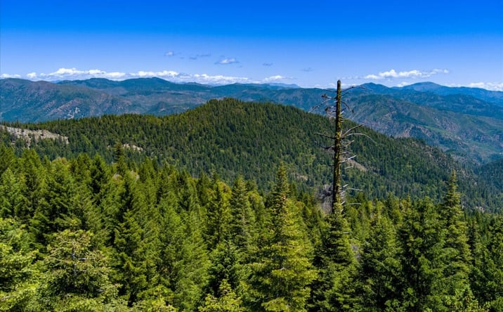 Pictures of Land property located at 000 Forest Rte 4N20, Hyampom, CA 96046 for sales - image #1