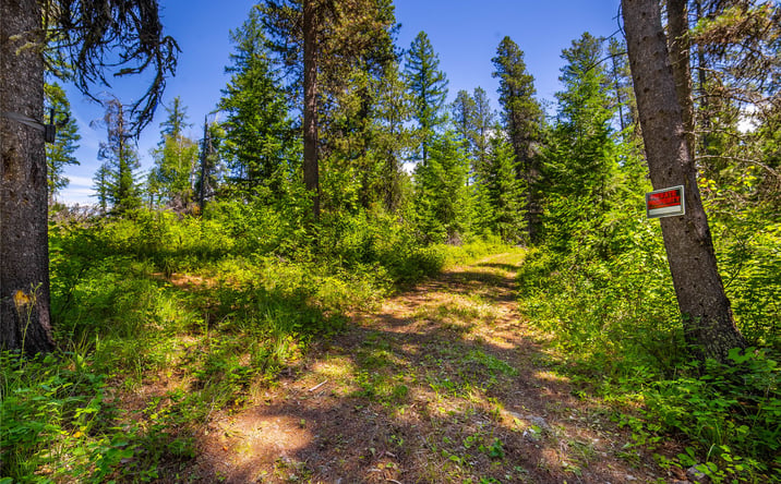 Pictures of Land property located at 11315 US Hwy 2 E Parcel C, WEST GLACIER, MT 59936 for sales - image #1
