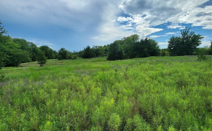 Pictures of Land property located at Knobb Road, Kingston, OK 73439 for sales - image #1