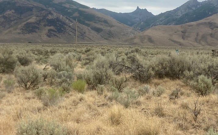 Pictures of Land property located at TBD Lamoille Highway, Lamoille, NV 89828 for sales - image #1