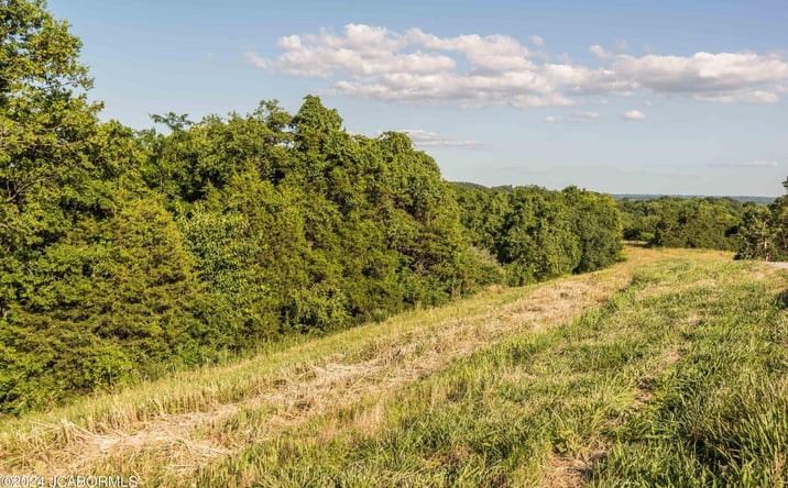 Pictures of Land property located at TBD Lot 16 Capital View Estates, Holts Summit, MO 65043 for sales - image #1