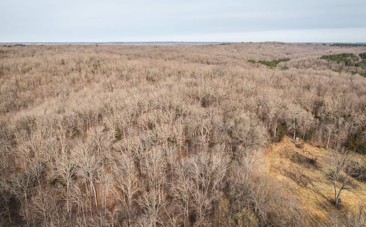 Pictures of Land property located at 000 County Road 3600 Tract 1, Saint James, MO 65559 for sales - image #1