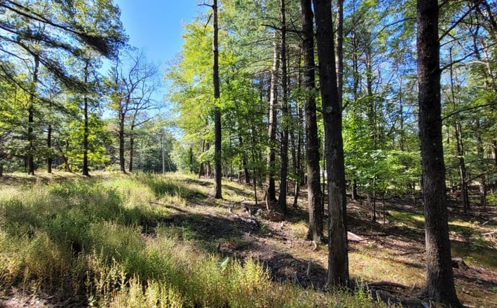 Pictures of Land, Special Purpose property located at L20 High Hill Road, Coxsackie, NY 12051 for sales - image #1