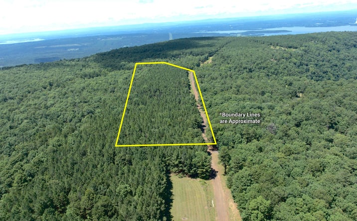 Pictures of Land property located at Spring Mountain Airstrip Lot, Dardanelle, AR 72834 for sales - image #1