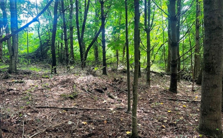 Pictures of Land, Multifamily property located at Lot 4 Kelly Rd, Fancy Gap, VA 24328 for sales - image #1