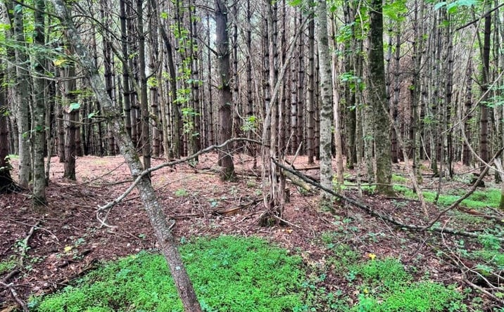 Pictures of Land, Multifamily property located at Lot 3 Kelly Rd, Fancy Gap, VA 24328 for sales - image #1