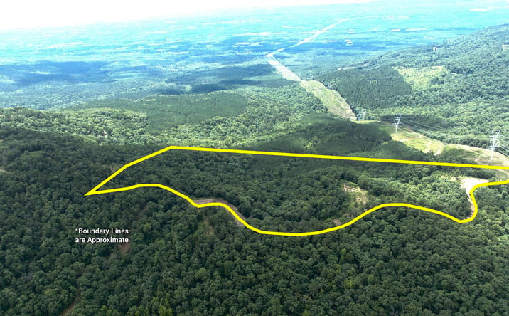 Pictures of Land property located at Tater Mountain West, Dardanelle, AR 72834 for sales - image #1