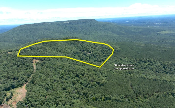 Pictures of Land property located at Tater Mountain East, Dardanelle, AR 72834 for sales - image #1