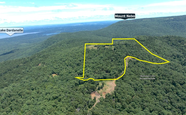 Pictures of Land property located at Tater Mountain North, Dardanelle, AR 72834 for sales - image #1