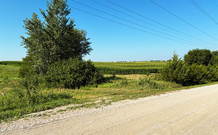 Pictures of Land property located at No Situs: SWC of 68th & Princeton Road, Firth, NE 68358 for sales - image #1