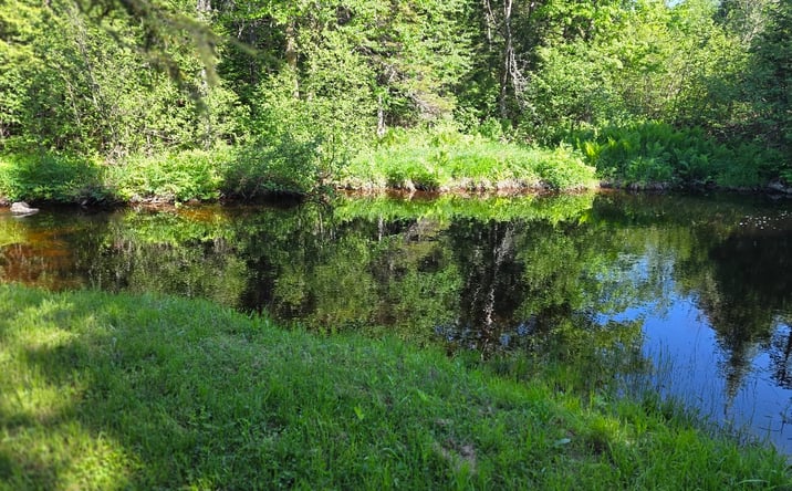 Pictures of Land property located at Davis Brook Road, Amity, ME 04471 for sales - image #1