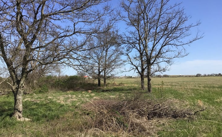 Pictures of Land property located at 436615 E 310 Road, Big Cabin, OK 74332 for sales - image #1