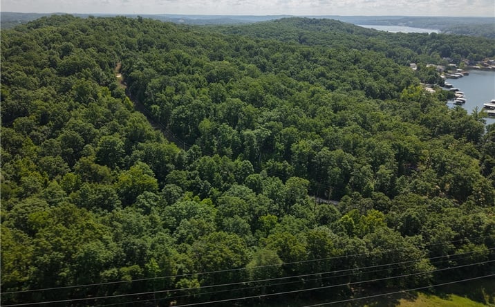Pictures of Land, Multifamily property located at Lot 62 Venus Road, Camdenton, MO 65020 for sales - image #1
