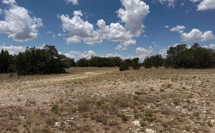 Pictures of Land property located at 3724 Queens Hwy, Carlsbad, NM 88220 for sales - image #1