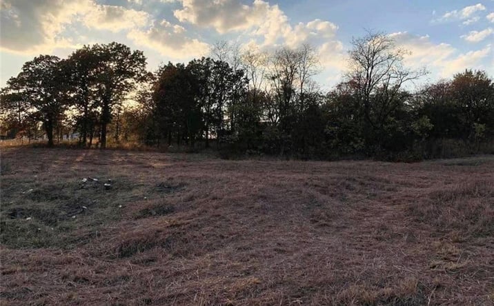 Pictures of Land, Multifamily property located at 203 W Vine Street, Galena, KS 66739 for sales - image #1