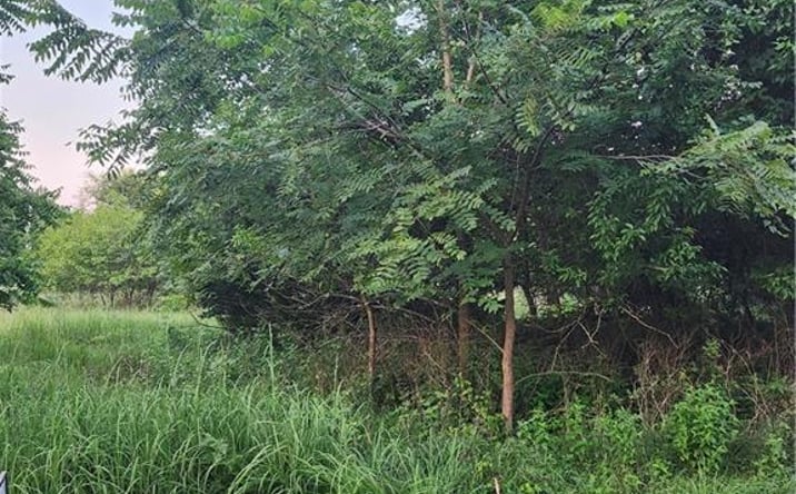 Pictures of Land, Special Purpose, Multifamily property located at 54 Oklahoma Drive, Linn Valley, KS 66040 for sales - image #1