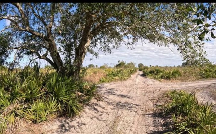 Pictures of Land, Special Purpose property located at 0 NW 318th Street, Okeechobee, FL 34972 for sales - image #1