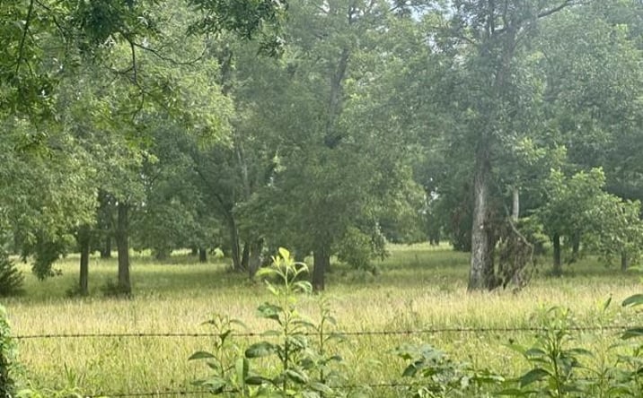Pictures of Land, Special Purpose, Multifamily property located at Stockade Road, Moundville, MO 64771 for sales - image #1