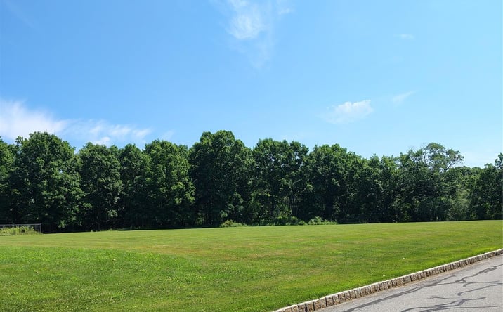 Pictures of Land property located at Victoria Drive, Blooming Grove, NY 10914 for sales - image #1
