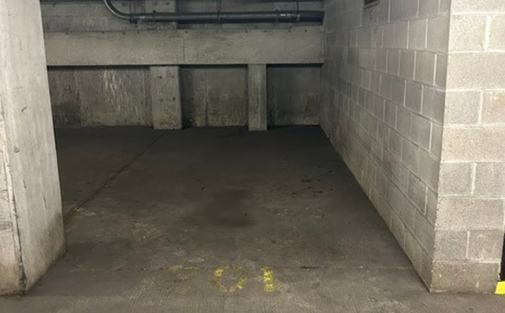 Pictures of Land, Special Purpose property located at 801 S Plymouth Court 201, Chicago, IL 60605 for sales - image #1