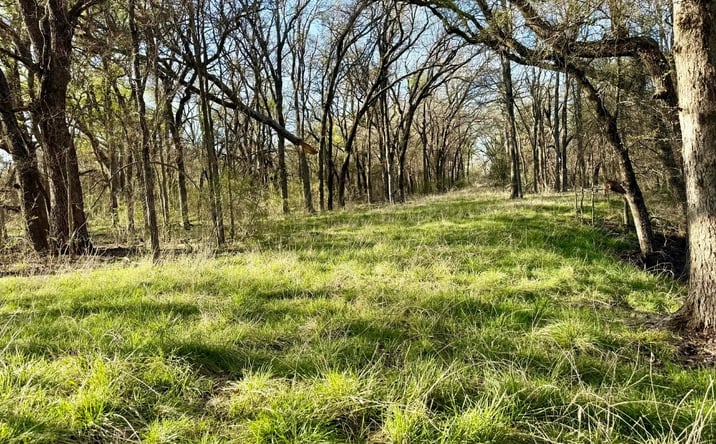 Pictures of Land property located at TBD CR 328, Dublin, TX 76446 for sales - image #1