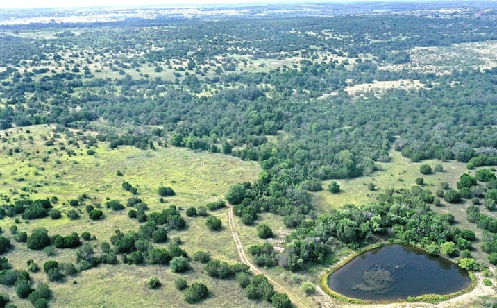 Pictures of Land property located at 170+/- ac TBD County Road 386, Carlton, TX 76436 for sales - image #1