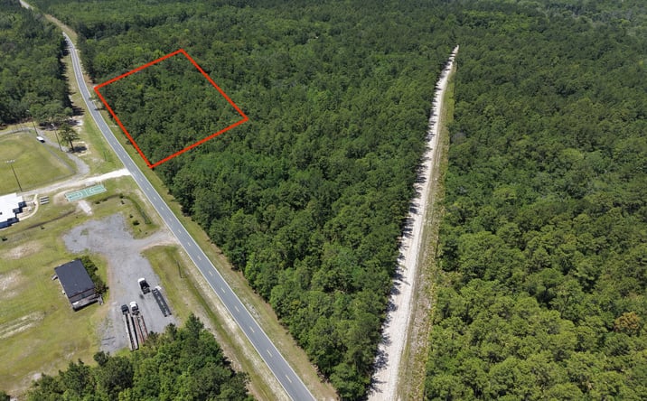 Pictures of Land property located at 3.87 Acres - Maple Ford Road, Waverly, GA 31565 for sales - image #1