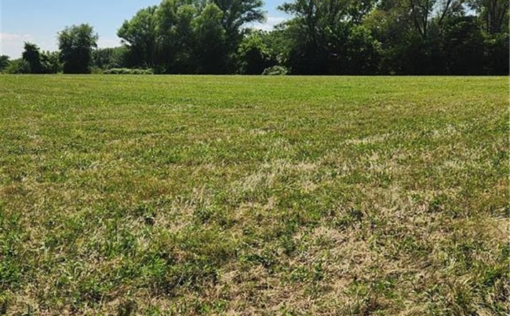 Pictures of Land property located at Tract B E 275th Street, Garden City, MO 64747 for sales - image #1