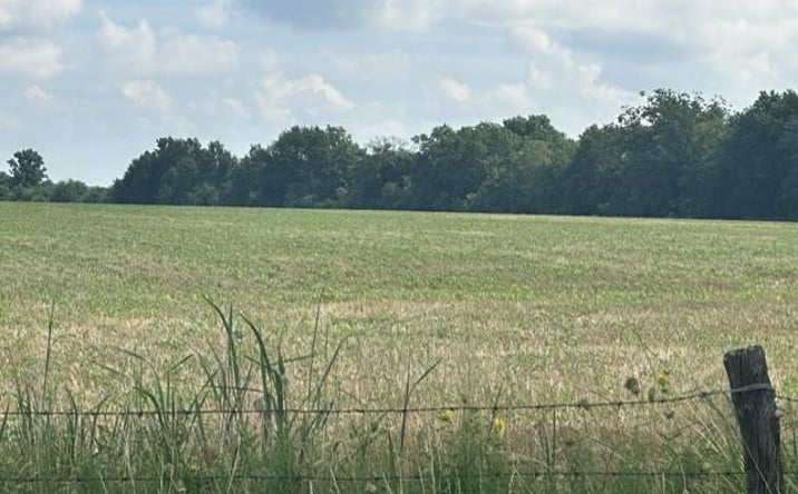 Pictures of Land, Special Purpose property located at Talley Bend Road, Moundville, MO 64771 for sales - image #1