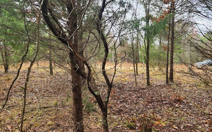 Pictures of Land, Multifamily property located at lot13 Magic Valley Drive, Camden, TN 38320 for sales - image #1