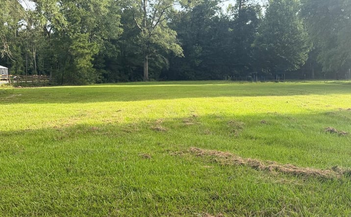 Pictures of Land, Multifamily property located at NHN W Sycamore Road, Picayune, MS 39466 for sales - image #1
