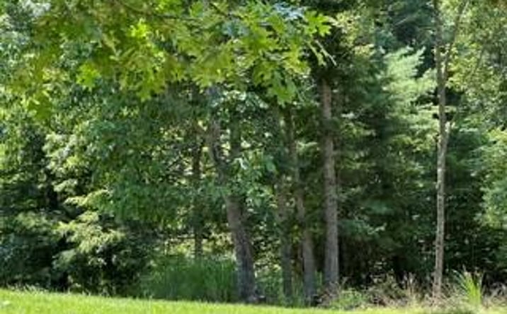 Pictures of Land, Multifamily property located at TBD Tbd Live Oak Lane, Galax, VA 24333 for sales - image #1