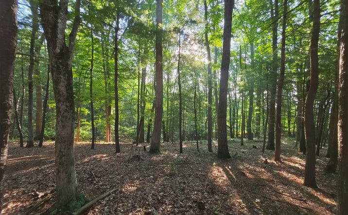 Pictures of Land, Multifamily property located at TBD Shady Forest Rd, Max Meadows, VA 24360 for sales - image #1
