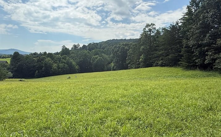 Pictures of Land property located at Lot 52 The Preserve At Cc, Young Harris, GA 30582 for sales - image #1