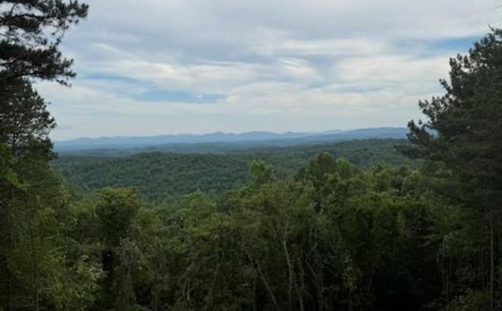 Pictures of Land property located at Lot 30 Lookout Drive, Blue Ridge, GA 30513 for sales - image #1