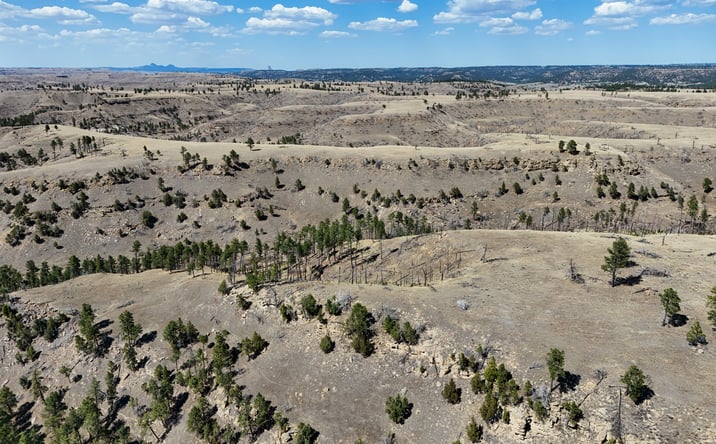 Pictures of Mixed Use, Land property located at Gruenhagen Road, Pine Haven, WY 82721 for sales - image #1