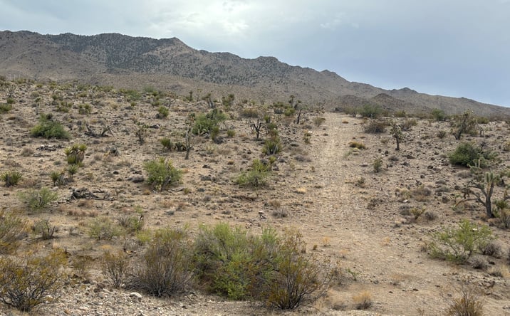 Pictures of Land property located at N/A, DOLAN SPRINGS, AZ 86441 for sales - image #1