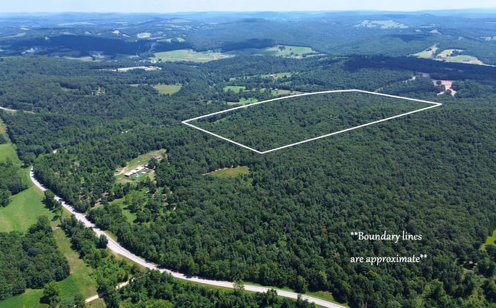 Pictures of Land property located at Tbd Hwy 21, Berryville, AR 72616 for sales - image #1