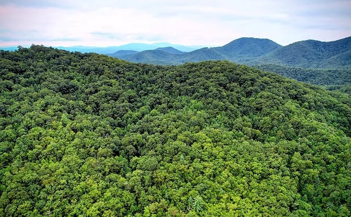 Pictures of Land property located at 0 Flea Mountain Rd, Murphy, NC 28906 for sales - image #1