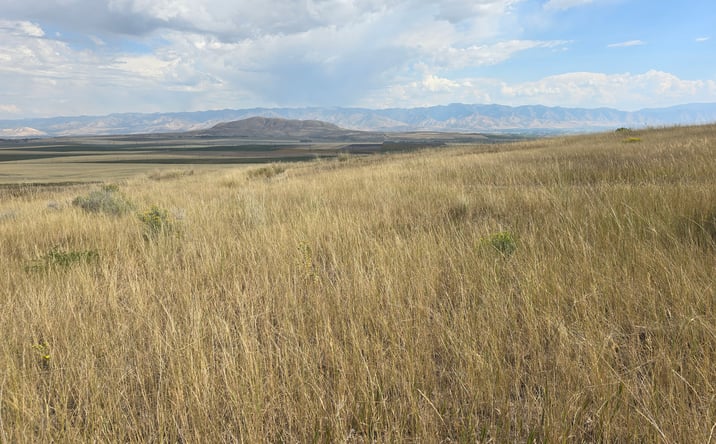 Pictures of Land property located at 8200 W 8200 N, Newton, UT 84327 for sales - image #1
