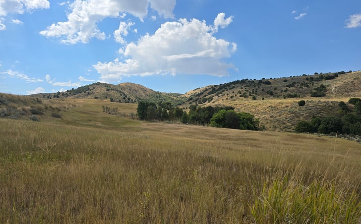 Pictures of Land property located at 8400 W 8200 N, Newton, UT 84327 for sales - image #1