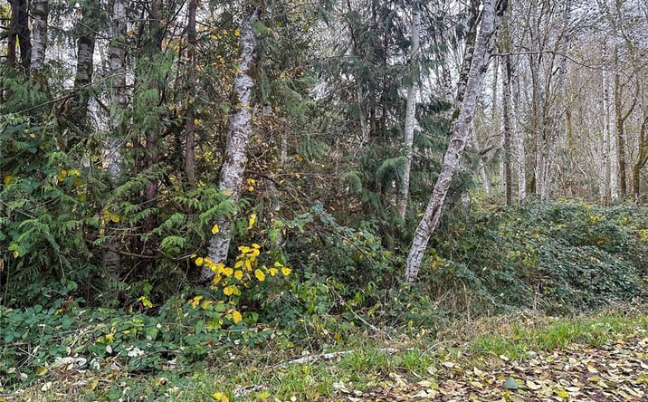 Pictures of Land property located at 7605 Lakeside St SW, Olympia, WA 98512 for sales - image #1