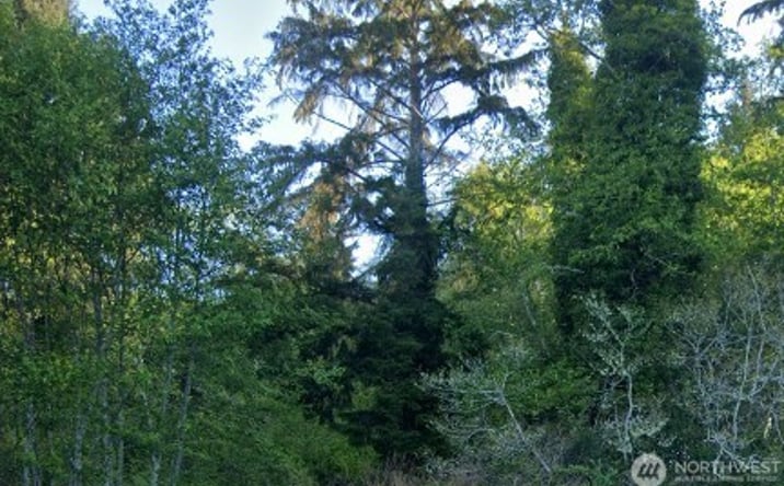 Pictures of Land property located at Cosgrove St, Hoquiam, WA 98550 for sales - image #1
