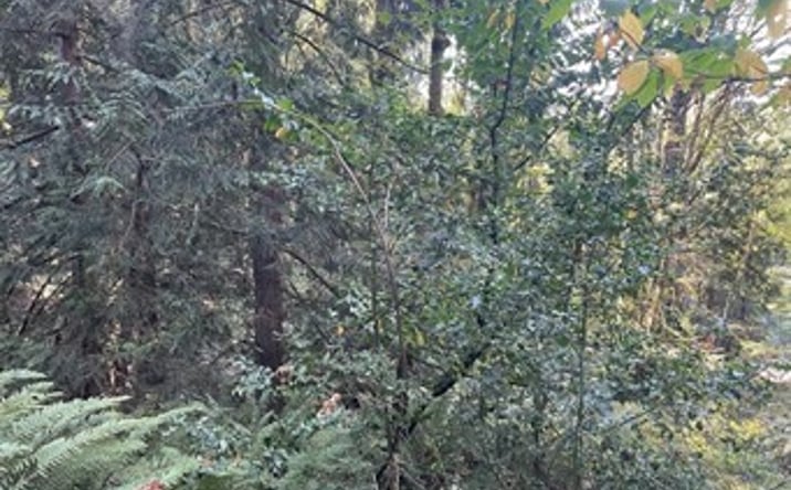 Pictures of Land property located at Melcher St, Port Orchard, WA 98366 for sales - image #1